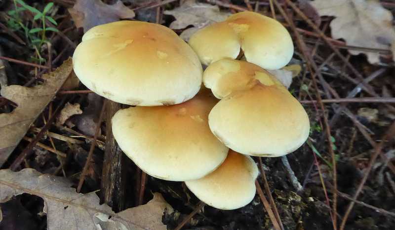 P1150140