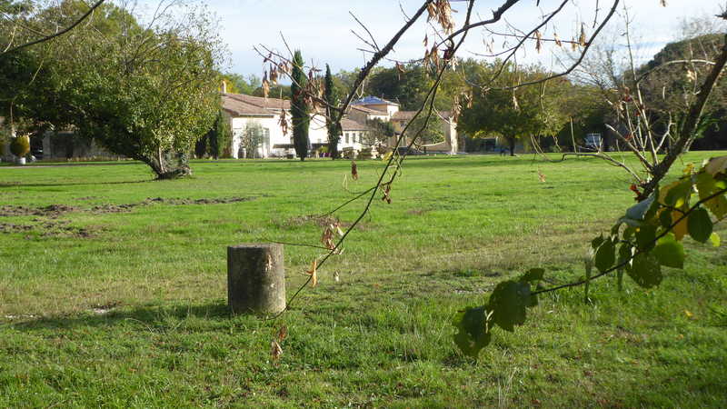 P1150143