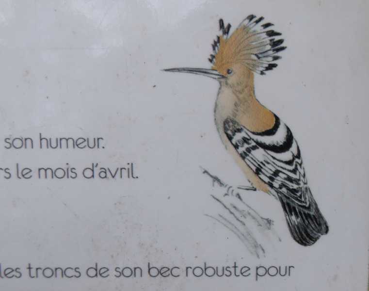 P1150189