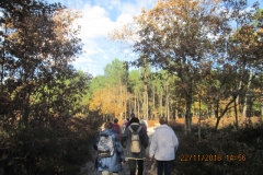 12_IMG_3381 12_IMG_3381
