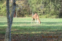 23_IMG_3385 23_IMG_3385