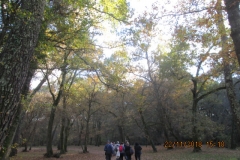 25_IMG_3386 25_IMG_3386