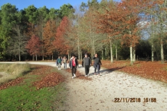 37_IMG_3390 37_IMG_3390