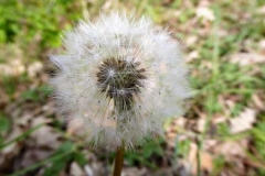 P1200700