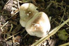 P1220149