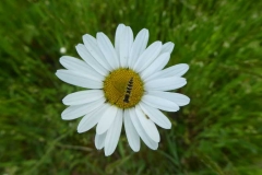 P1240505