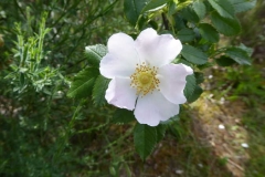 P1240517