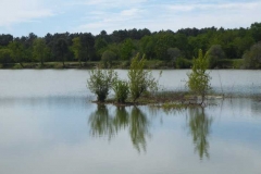 P1240601