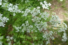 P1240664