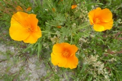 P1240665