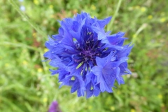 P1240671