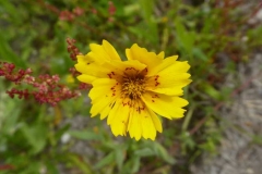 P1240674