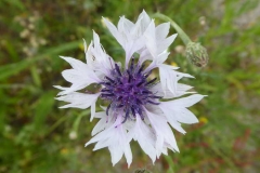 P1240676