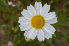 P1240677