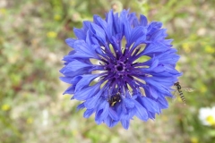 P1240692