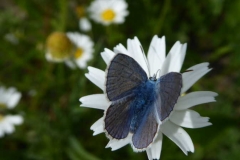 P1240710
