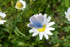 P1240712