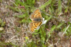 P1240752