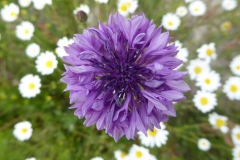 P1240771