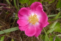 P1240825