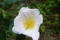 P1250729