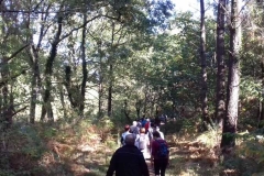 Les marcheurs du grand parcours