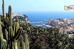 Nice06 Nice06