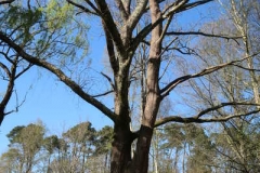 040IMG_1112